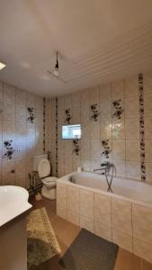 un bagno con vasca e WC di La Mosu-n Retezat a Nucşoara Altre 77 foto