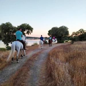 a group of people riding horses down a dirt road at Quinta da Saudade in Ponte de Sor