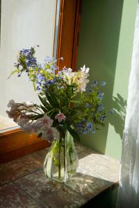 Fotografie z fotogalerie ubytování Agriturismo Cheloni v destinaci Guasticce