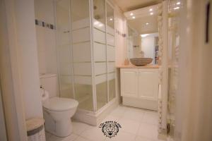 W łazience znajduje się toaleta i przeszklony prysznic. w obiekcie L'or dans la mer w Nicei
