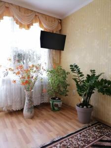 twee vazen met planten in een kamer met een raam bij Апартаменти в центрі міста in Kamjanets-Podilsky