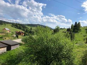 a green field with a house and a tree at Карпатська ніч in Plav'ya