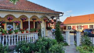 a house with flower pots on the front porch at La Mosu-n Retezat in Nucşoara