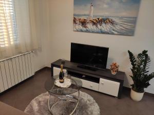 TV a/nebo společenská místnost v ubytování Apartments Drpic