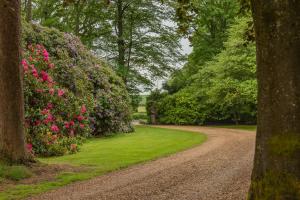 A garden outside Beautiful Luxury Property in the Surrey Hills