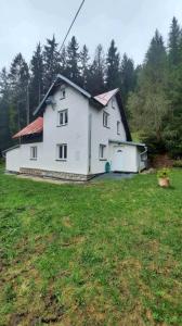 a white house with a red roof in a field at Dům u lesa - Nové Hamry in Nové Hamry