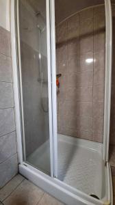 a shower with a glass door in a bathroom at Dům u lesa - Nové Hamry in Nové Hamry