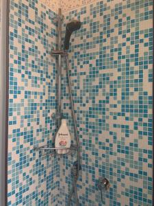 a bathroom with a shower with blue and brown tiles at Archie's House in Venice