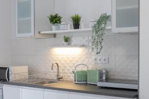 Kuchyň nebo kuchyňský kout v ubytování Jázmin Apartman