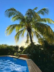 德賽的住宿－Villa Nature caraïbe lodge, vue mer, piscine privée，相簿中的一張相片