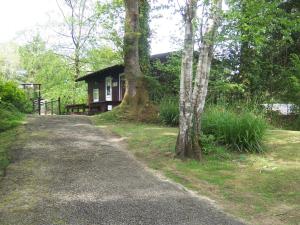 una casa con un árbol al lado de un camino de tierra en Honeysuckle Lodge set in a Beautiful 24 acre Woodland Holiday Park, en Newcastle Emlyn