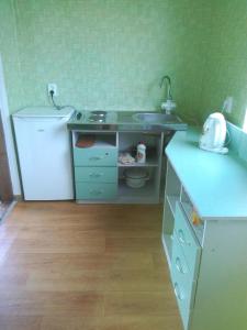 a small kitchen with a sink and a refrigerator at Ципель 2 in Szack