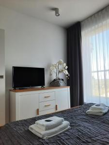 Televízia a/alebo spoločenská miestnosť v ubytovaní Aqua Apartments Sunset