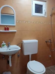 bagno con servizi igienici, lavandino e specchio di Dany Apartments a Gevgelija