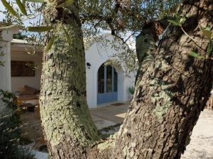 Fotografie z fotogalerie ubytování Trullo Messapico - contrada Montecalvo v destinaci Ceglie Messapica