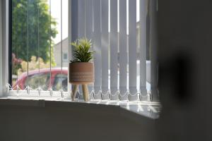 uma planta em vasos sentada no parapeito da janela em Risca Retreat em Risca