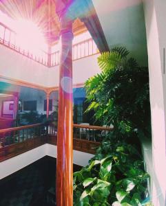 a building with a pole with a plant in it at Apartamentos Tapahuga in Playa de Santiago