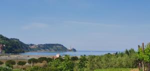 a view of a body of water with a beach at APARTMA NANA STRUNJAN in Portorož +5 photos