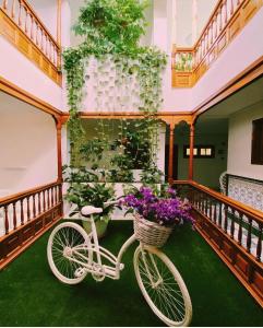 a white bike parked in a room with plants at Apartamentos Tapahuga in Playa de Santiago