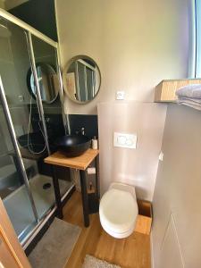 a small bathroom with a toilet and a sink at La Demeure Marcquoise in Marcq-en-Baroeul