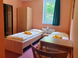 Postel nebo postele na pokoji v ubytování Penzion Lumis