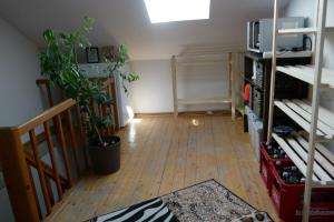 a living room with a plant on a wooden floor at Monteurzimmer am Teisenberg in Neukirchen am Teisenberg