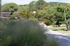 a garden with tall grass and flowers in a yard at Les Jardins De Santa Giulia - Charmante chambre dhte in Porto-Vecchio +4 photos