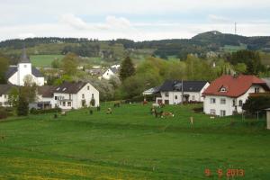 un grupo de caballos pastando en un campo con casas en Urlaub auf dem Bauernhof Marx en Kelberg