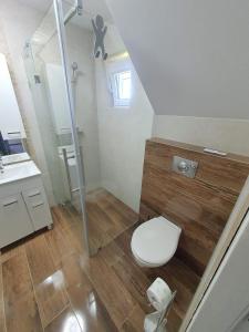 La salle de bains est pourvue de toilettes, d'une douche et d'un lavabo. dans l'établissement Zielone Zagrody - Stafieje, à Grodzisko Dolne