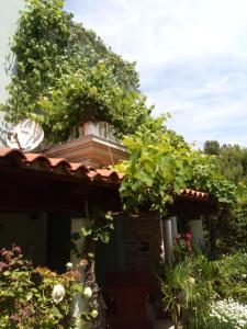 a house with a bunch of plants on the roof at Villa Verde Apartments and Rooms in Premantura
