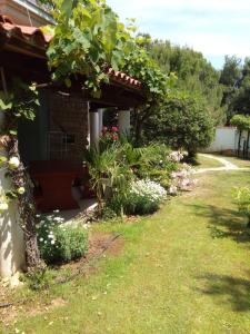 a garden in front of a house with flowers at Villa Verde Apartments and Rooms in Premantura