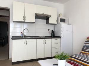 Een keuken of kitchenette bij Dalmatia Apartments