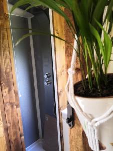 a plant in a basket on a door at Y Cwtch in Trefeglwys