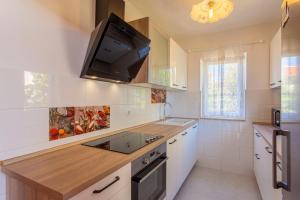 Kuchyňa alebo kuchynka v ubytovaní Apartment in Cres with sea view, balcony, air conditioning, Wi-Fi (4249-1)