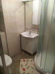 W łazience znajduje się toaleta, umywalka i prysznic. w obiekcie Apartment in Punat with Terrace, Air conditioning, Wi-Fi, Washing machine (3829-2) w mieście Punat