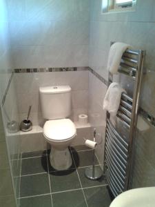 a bathroom with a white toilet and a shower at Manor Garden Lodge in Wirral