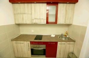 Kuchyň nebo kuchyňský kout v ubytování RoyalWings apartman Jagodina