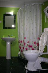 a bathroom with a toilet and a sink with a shower curtain at Markulev Apartment in Ohrid