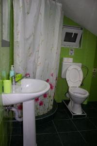 La salle de bains est pourvue d'un lavabo, de toilettes et d'un rideau de douche. dans l'établissement Markulev Apartment, à Ohrid