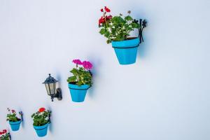 Fotografie z fotogalerie ubytování H El Palmeral Playa v destinaci Mojácar