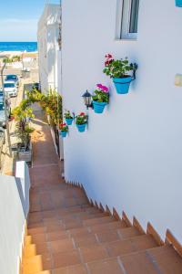 Fotografie z fotogalerie ubytování H El Palmeral Playa v destinaci Mojácar