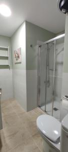 a bathroom with a shower stall and a toilet at Casa Tío Luis in Santa Cruz de la Palma