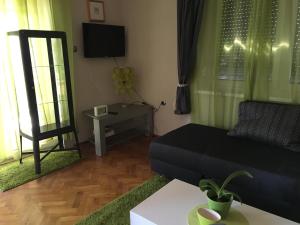 Televiisor ja/või meelelahutuskeskus majutusasutuses Nefelejcs Apartman