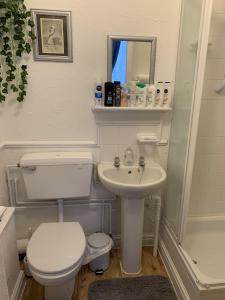 a small bathroom with a toilet and a sink at The George Guest House in Bridlington