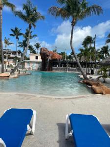una piscina en un complejo con palmeras y 2 bancos azules en Coconut Cove Resort & Marina, en Islamorada