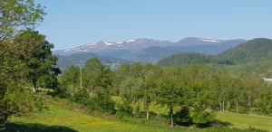 um campo com árvores e montanhas ao fundo em Lodge-Sagne une ferme rénovée au cœur du Cantal à proximité de la station de ski du Lioran 