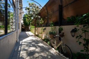 Ciclismo en Canary Boutique Hotel o alrededores