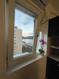 Příroda nedaleko apartmánu + 5 fotografií