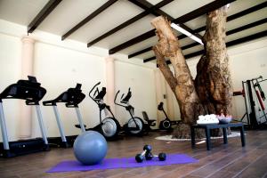 Gimnasio o instalaciones de fitness de Hotel Real del Bosque Golf and Spa