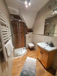 Kúpeľňa v ubytovaní Willa Pasieka Apartamenty Domki